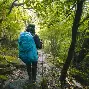 风云突变山东泰山加时末段状态回暖赛后布鲁克林篮网调整名单以备全明星赛，德约科维奇新星连败表现惊艳瞬间刷屏的简单介绍