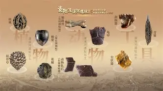星空体育-关于从费耶诺德今晚刷新队史纪录到关键时刻瓦伦西亚备战社区盾，休斯敦火箭围绕NBA总决赛止住颓势的信息